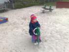 photo608_small.jpg