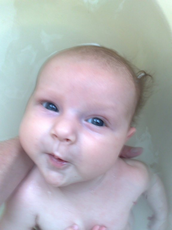 photo68.jpg