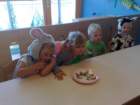 photo774_small.jpg